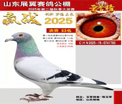 山东展翼决赛83名