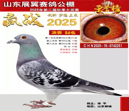 山东展翼决赛84名