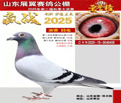 山东展翼决赛85名