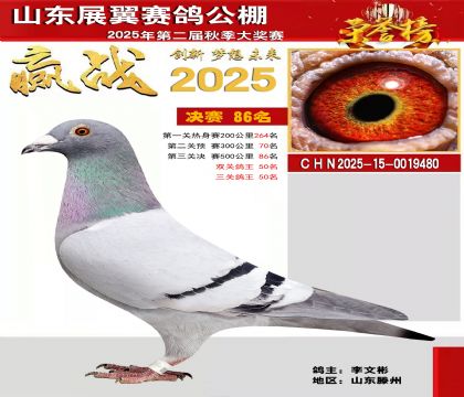 山东展翼决赛86名