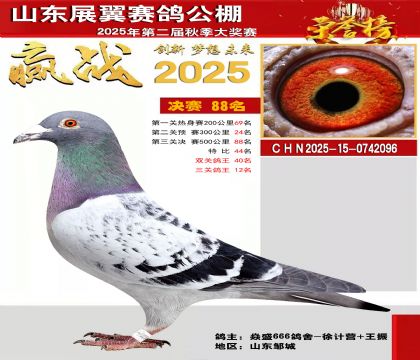 山东展翼决赛88名