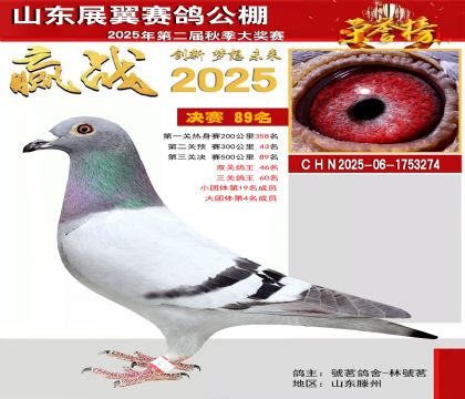 山东展翼决赛89名