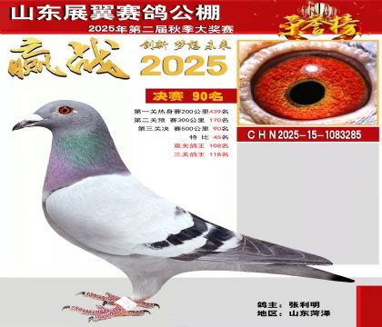 山东展翼决赛90名