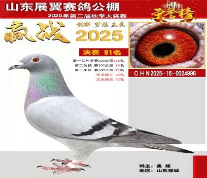 山东展翼决赛91名