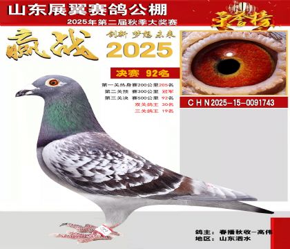 山东展翼决赛92名