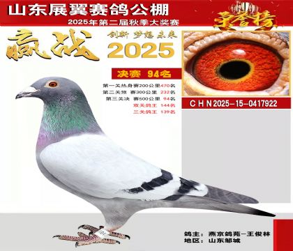 山东展翼决赛94名