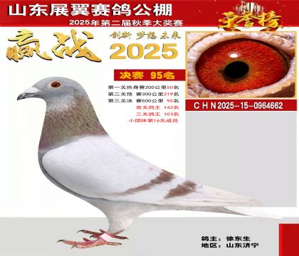 山东展翼决赛95名