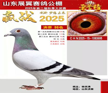 山东展翼决赛96名