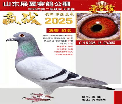 山东展翼决赛97名