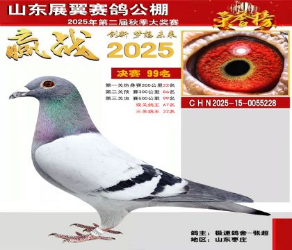 山东展翼决赛99名