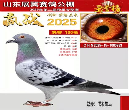 山东展翼决赛100名