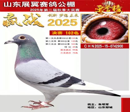 山东展翼决赛102名