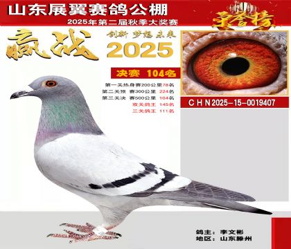 山东展翼决赛104名