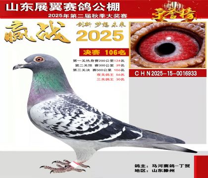 山东展翼决赛106名