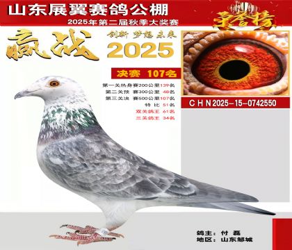 山东展翼决赛107名