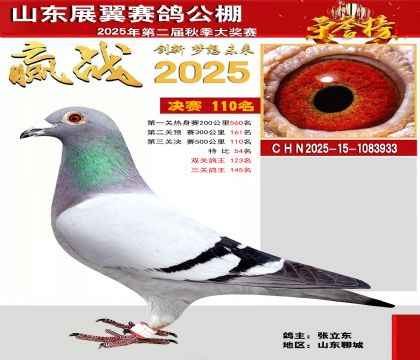 山东展翼决赛110名