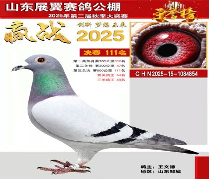 山东展翼决赛111名