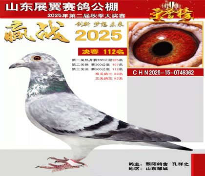 山东展翼决赛112名