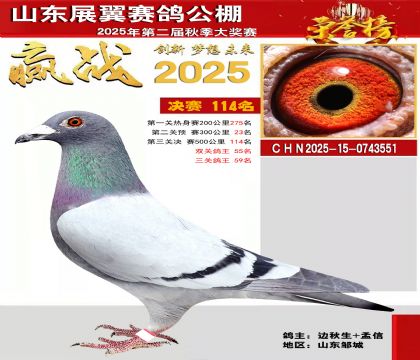 山东展翼决赛114名