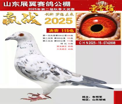 山东展翼决赛115名