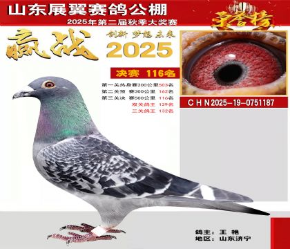 山东展翼决赛116名