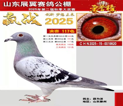 山东展翼决赛117名