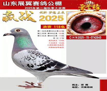 山东展翼决赛118名