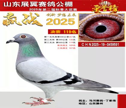 山东展翼决赛119名