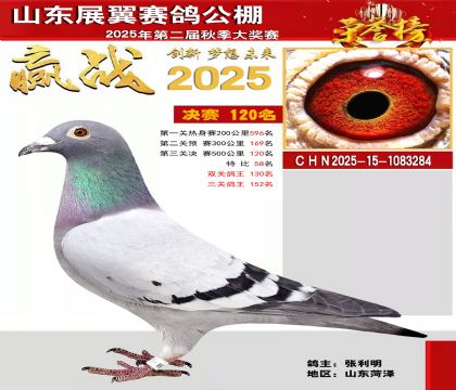 山东展翼决赛120名