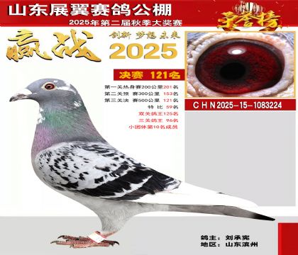 山东展翼决赛121名