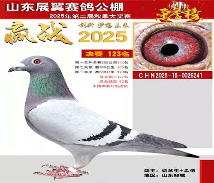 山东展翼决赛123名