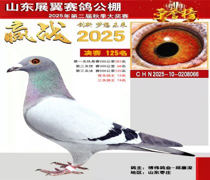 山东展翼决赛125名