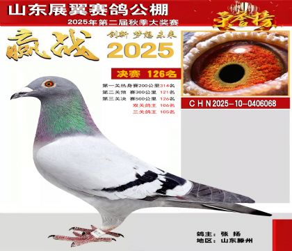 山东展翼决赛126名