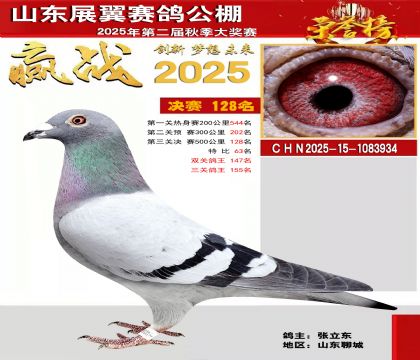 山东展翼决赛128名