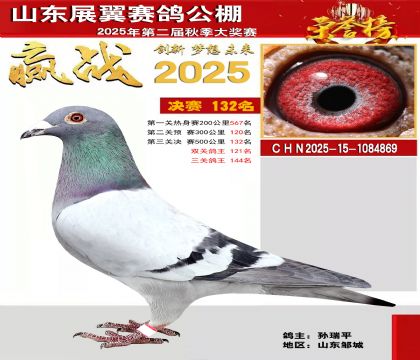 山东展翼决赛132名