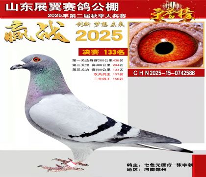 山东展翼决赛133名