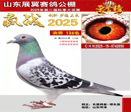 山东展翼决赛134名