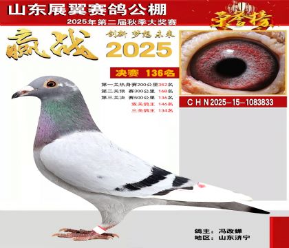 山东展翼决赛136名