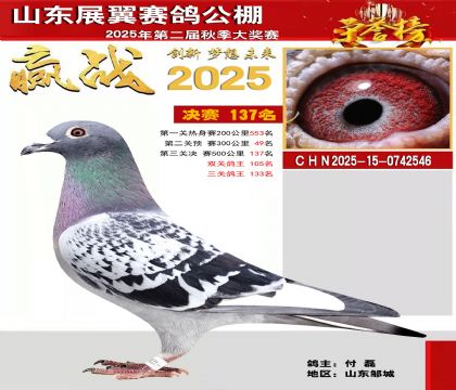 山东展翼决赛137名