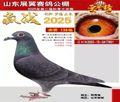 山东展翼决赛138名