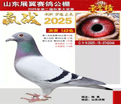 山东展翼决赛142名