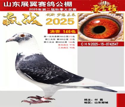 山东展翼决赛146名