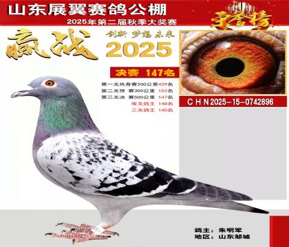 山东展翼决赛147名