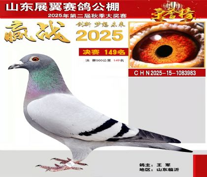 山东展翼决赛149名