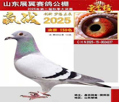 山东展翼决赛150名