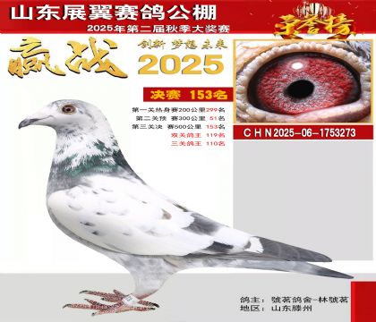 山东展翼决赛153名