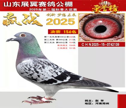 山东展翼决赛154名