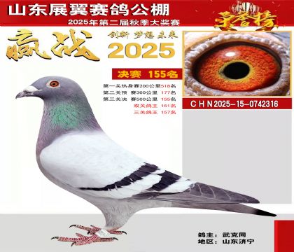 山东展翼决赛155名