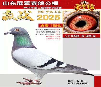 山东展翼决赛156名