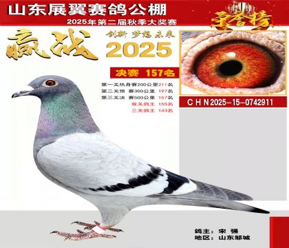 山东展翼决赛157名